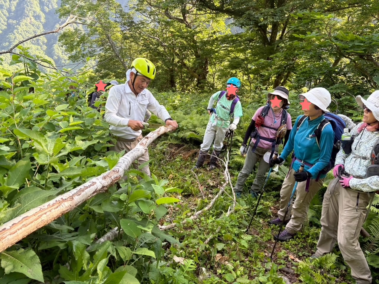 You are currently viewing 【報告】白山中宮道 登山道整備イベント