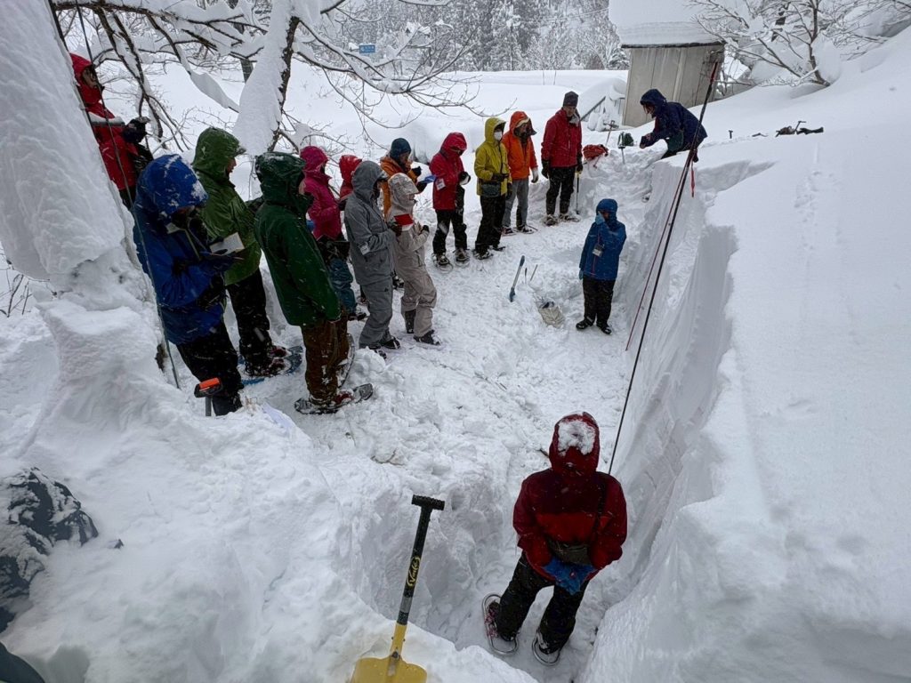 初級コース（断面観察）